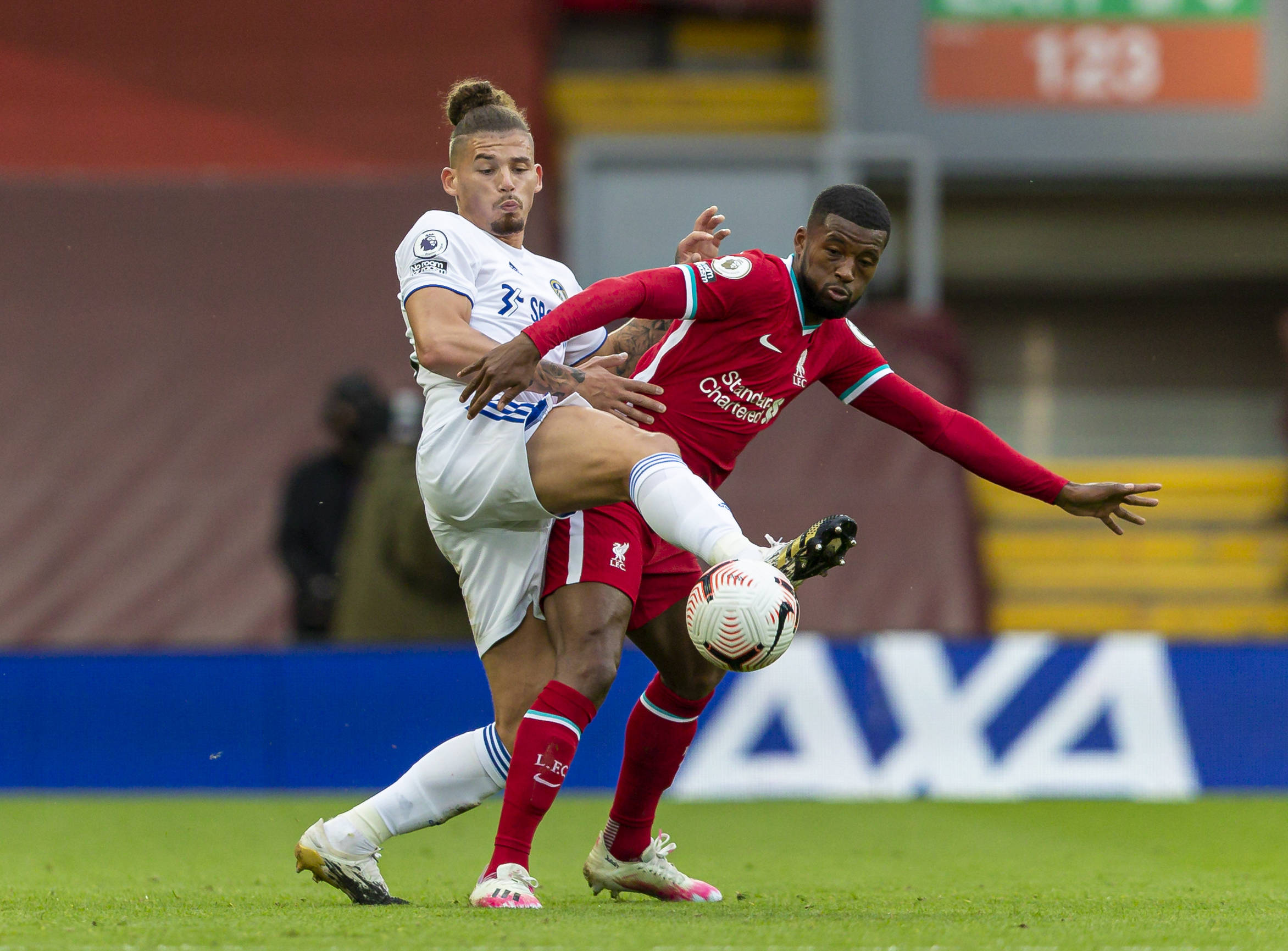 除了几支豪 除了几支豪