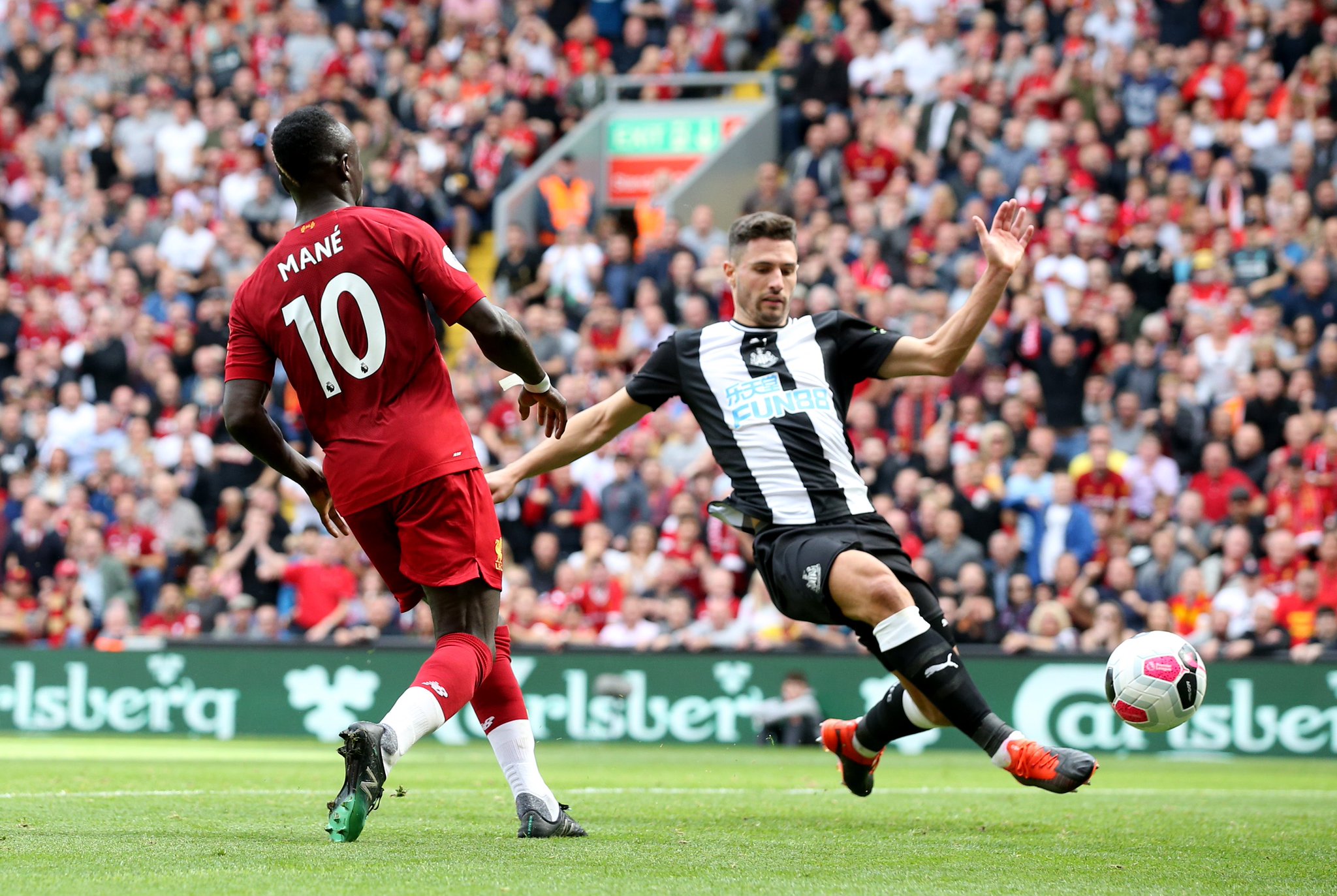 型的再现 型的再现